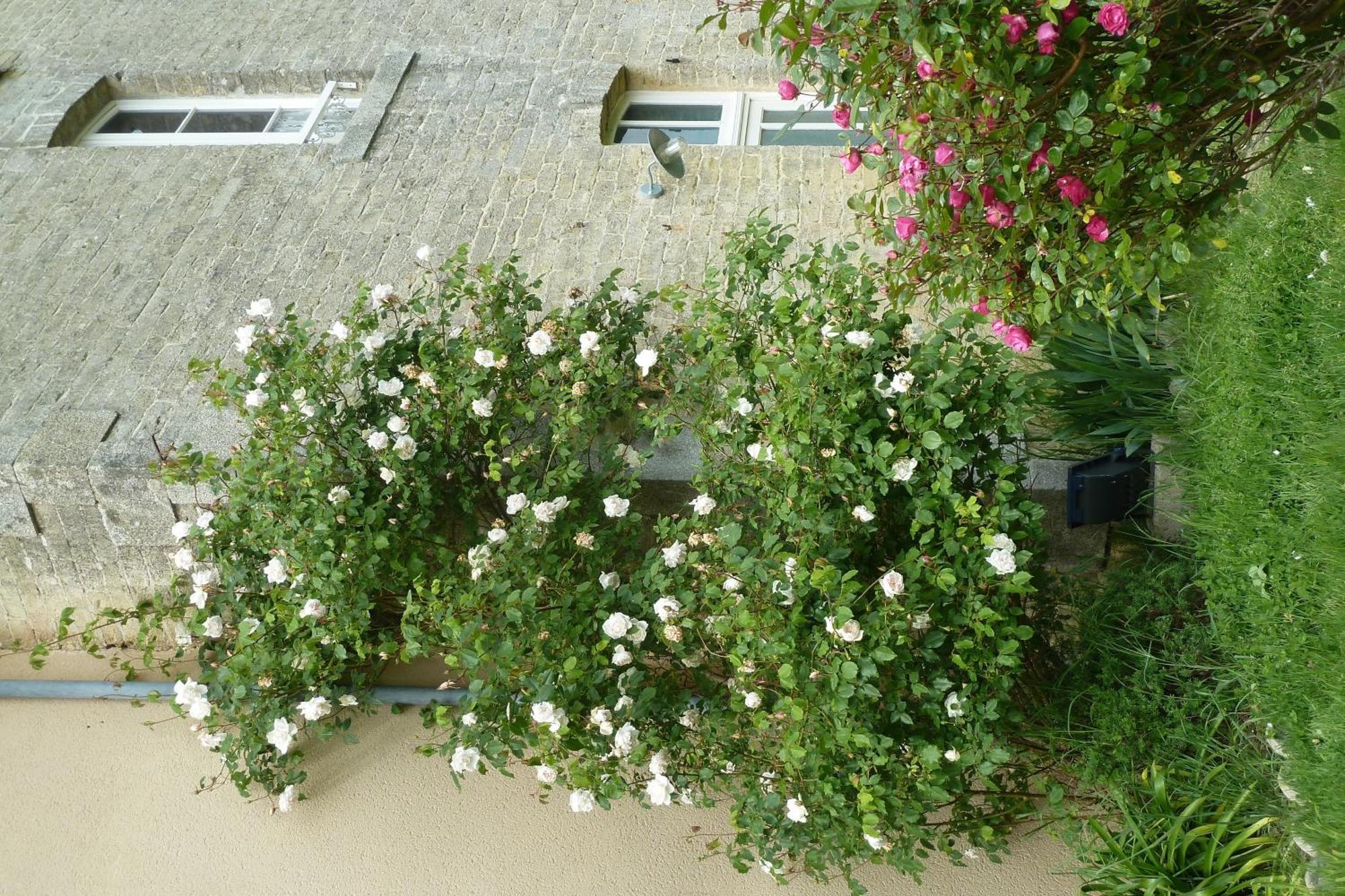 B&B L'Atelier Du Presbytere Saint-Maugan Zewnętrze zdjęcie